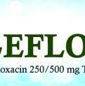 Leflox-20231001112314