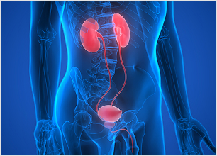 Urology